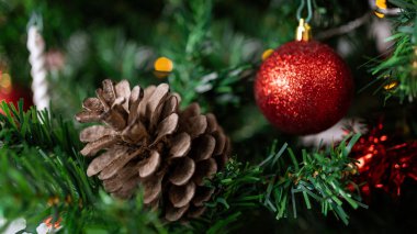 Yeşilleşmiş köknar ağacı dalları yılbaşı balolarını ve kar tanelerini güzel ve şenlikli bir dekorasyon haline getiren Xmas kozalağı eklenmesiyle canlanır..
