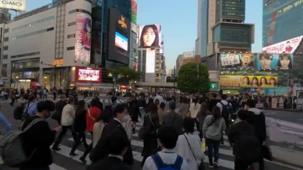 2023 보행자는 상징적 시부야 Shibuya 거리를 빛나는 창고는 번화한 교차하면서 — 비디오