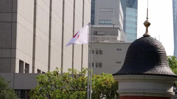 Zpomalení Japonské Vlajky Vlnící Centru Města Krásná Věž Japonským Praporem — Stock video