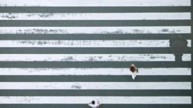 Slowmotion 'un odak noktası dışında, herkes kurallara uyduğu ve belirlenmiş yaya geçidi içinde kaldığı için Japon halkının bariz bir kaos eksikliğinden geçişine bakış açısı yükseldi..