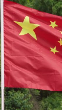 Bir Çin bayrağının dikey yavaş hareketi ağaçların yemyeşil zeminine, canlı kırmızı renge ve altın yıldızlara karşı. Doğal ortam, ulusal bayrağın cesur renkleriyle çok güzel tezat oluşturuyor.