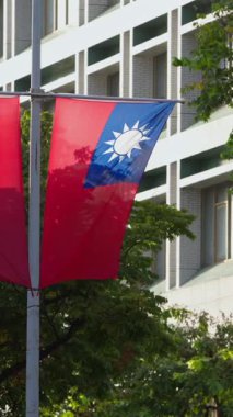 Sokak lambası direğinden sarkan ikiz Tayvan bayraklarının dikey yavaş hareketi. Şehir yaşamının ve yeşilliğin arka planına karşı milli gurur sembolü..