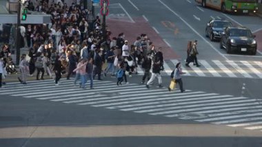 Tokyo, Japonya-10 Nisan 2023: Yaya geçidine kuşların bakış açısı Japonya 'da Shibuya Geçidi' ni sular altında bırakıyor ve büyüleyici bir hareket ve enerji gösterisi yaratıyor..
