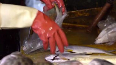 Kaohsiung, Tayvan 'da geleneksel bir deniz ürünleri pazarında kırmızı eldivenli bir satıcının plastik bir poşette taze balık tutması ve paketlemesi yavaşlıyor.