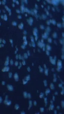 Yüzük tutan dul yaşlı bir kadının yaşlı ellerini kapat. Kafkasyalı büyükanne evde oturuyor. 93 yaşındaki büyükannenin buruşuk elleri.