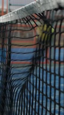 Mavi kortta tenis topunun ağlara vuruşunun yavaş hareketi. Kürek çeken insanlar. Yakın çekim sarı toplar ağa çarptı. Spor konsepti.