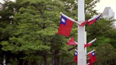 Arka planda yeşil yapraklarla dalgalanan Tayvan bayrağının yavaş hareketi vatanseverliği ve doğayla uyumu simgeliyor..
