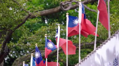 Rüzgarda dalgalanan Tayvan bayrakları ve arka planda dallar ulusal gururu ön plana çıkarıyor..