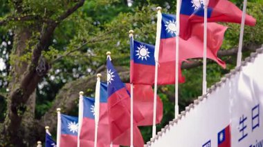 Tayvan bayraklarının dalları ve yapraklarıyla yavaşça dalgalanması barışçıl ve doğal bir ortamda vatanseverlik göstergesidir..