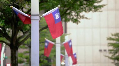 Tayvan bayrağının yavaş çekimleri arka planda ağaçlar olan bir direğe hafifçe sallanıyor. Tayvan 'daki ulusal gurur ve doğal ortamı yakalıyor..