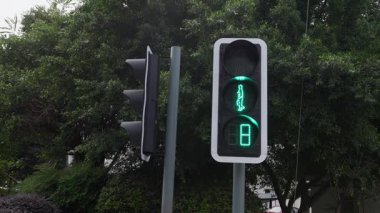 Chengdu 'da yaya geçidinde yeşil renge geçiş yapan kırmızı yayanın yavaş hareketi, şehir ritmini ve yaya trafiğini vurguluyor.