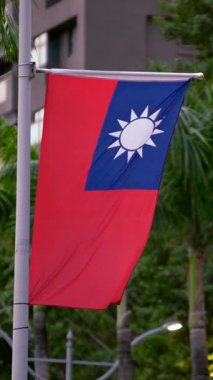 Vertical Slow motion of Taiwan flag waving on a pole surrounded by tropical palm trees, symbolizing cultural pride in an urban setting.
