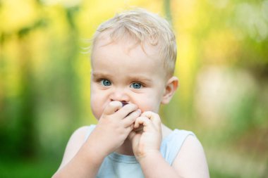 İştahlı erik meyvesi yiyen küçük sarışın çocuk bahçede yürüyen çocuk, bir yaz portresi.