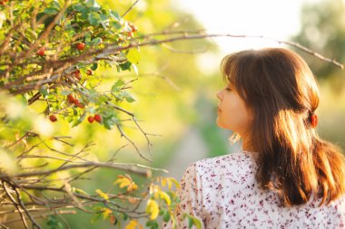 Kırmızı böğürtlenli gül ağacının dallarında yürüyen rüya gibi genç bir kadın. Yaz mevsimi doğada dinleniyor.