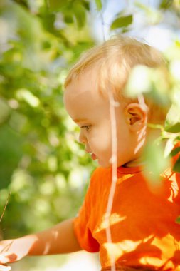 Ayı yapraklarının arasında, doğada küçük şirin sarışın bir çocuğun portresi.