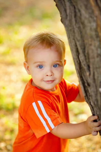 Portrait Cute Blond Little Boy Nature Child Playing Park Hide — Stock Photo, Image