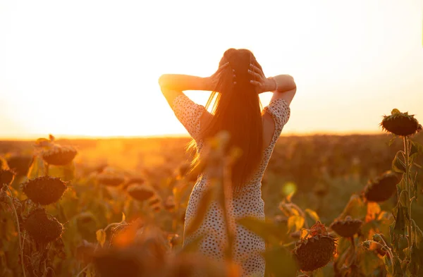 Молодая Мечтательная Женщина Вечернем Солнечном Свете Подсолнечнике Летнем Закате Девушка — стоковое фото