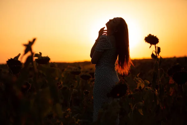 Silhouette Young Woman Dress Sunflower Field Beautiful Summer Sunset Relaxation — Stock Photo, Image