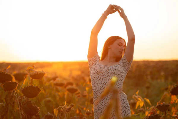 Junge Frau Der Abendsonne Auf Einem Sonnenblumenfeld Bei Sonnenuntergang Mädchen Stockfoto