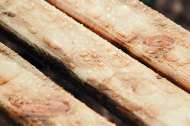 Su desen ahşap malzeme üzerinde bırakır. Renk tonlu renkler. Sığ derinlik-in tarla.