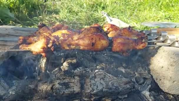 Shish Kebab Chicken Legs Skewers Chicken Meat Skewers Smoke Coals — Stock Video