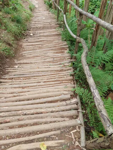 Ağaçlardan yapılmış ve yemyeşil ağaçlarla çevrili bir orman parkında kırsal ahşap patika. Düz olmayan tahta adımları olan çevre dostu doğal patikalar, yürümek, yürüyüş yapmak veya doğa turizmi kavramları için mükemmel.