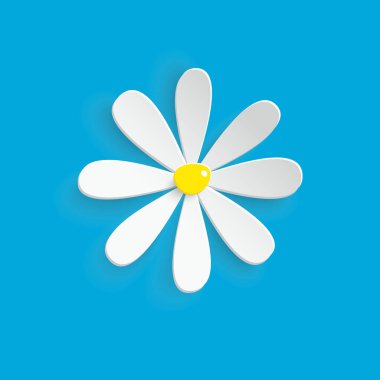 Kağıt çiçek. Papatya çayı kağıttan kesilir. Daisy beyaz arka planda. Düğün süslemeleri. Düğün bağı. Şablon tebrik kartı, boş çiçek dekoru..