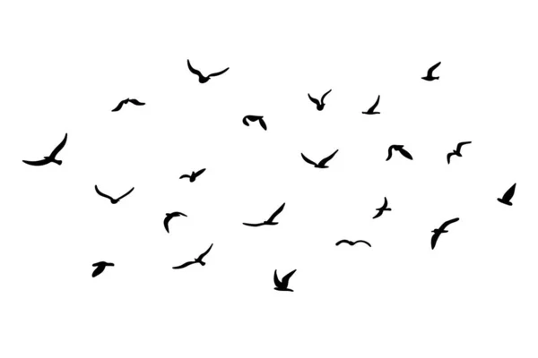 Ένα Σμήνος Από Ιπτάμενα Πουλιά Μαύρο Λευκό Φόντο Εικονογράφηση Διανύσματος — Διανυσματικό Αρχείο