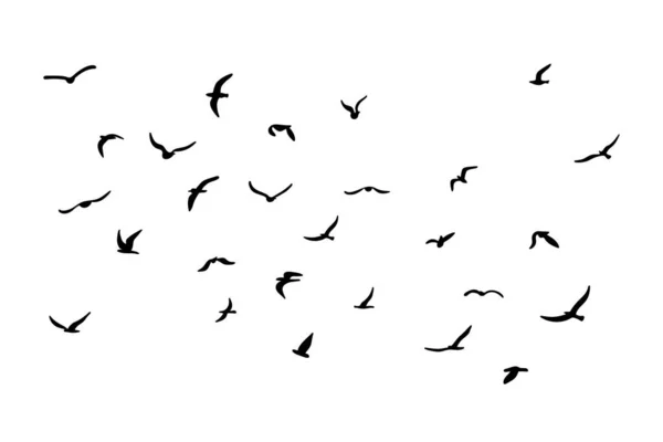 Ένα Σμήνος Από Ιπτάμενα Πουλιά Μαύρο Λευκό Φόντο Εικονογράφηση Διανύσματος — Διανυσματικό Αρχείο