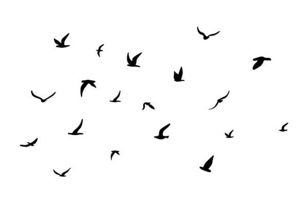 シルエットの鳥の群れ 白を背景に黒 ベクターイラスト — ストックベクタ