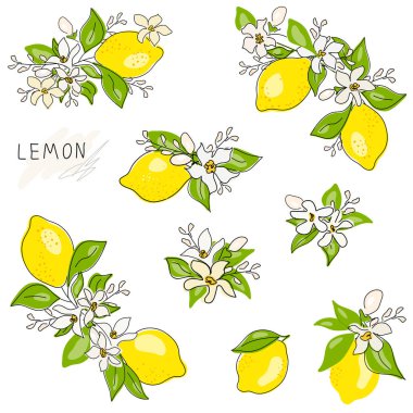  Sarı limonlu, çiçekli ve yeşil yapraklı limon dalı beyazın üzerinde. Karalama. Taze meyve seti. Citrus. Asgari düzeyde. Siyah çizgi. Vektör illüstrasyonu