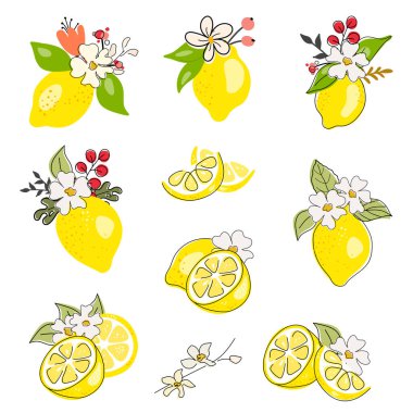 Beyaz çiçekli ve yeşil yapraklı taze limonlar. Logo. Meyve seti. Tam limon, ikiye bölünmüş, dilimlenmiş, kırpılmış, beyaz arka planda izole edilmiş. Doodle Black hattı. Citrus.. 