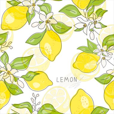 Taze sarı limon, yeşil yapraklı ve çiçekli limon meyveleri. Beyaz arka planda kusursuz turunçgil dokusu. Limon dilimi. Doodle Minimal Style. Siyah çizgi. Vektör çizimi. El yazısı.