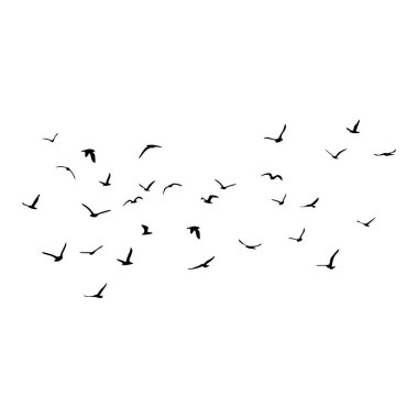 Uçan siluet kuş sürüsü. Beyaz arka planda siyah. Vektör illüstrasyonu