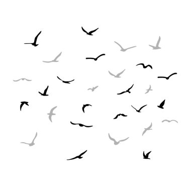 Uçan siluet kuş sürüsü. Beyaz arka planda siyah. Vektör illüstrasyonu
