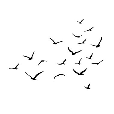 Uçan siluet kuş sürüsü. Beyaz arka planda siyah. Vektör illüstrasyonu