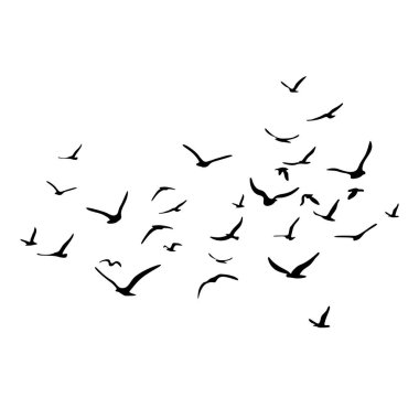 Uçan siluet kuş sürüsü. Beyaz arka planda siyah. Vektör illüstrasyonu