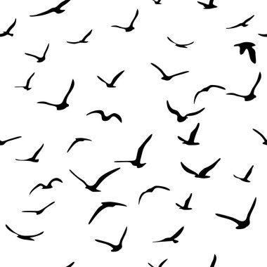 Uçan siluet kuş sürüsü. Kuşlar kusursuz desenli. Mavi arka planda beyaz martılar. Vektör illüstrasyonu.