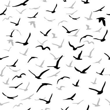 Uçan siluet kuş sürüsü. Kuşlar kusursuz desenli. Mavi arka planda beyaz martılar. Vektör illüstrasyonu.