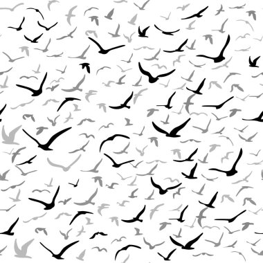 Uçan siluet kuş sürüsü. Kuşlar kusursuz desenli. Mavi arka planda beyaz martılar. Vektör illüstrasyonu.