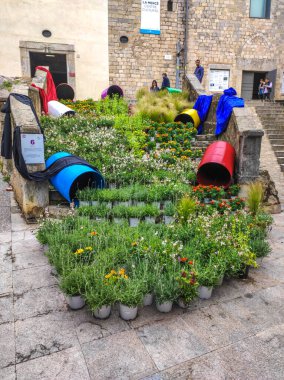 Festival de las Flores de Girona 