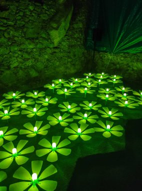 Festival de las Flores de Girona 