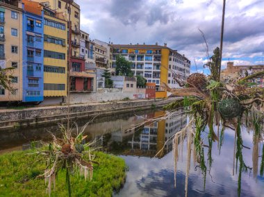 Festival de las Flores de Girona 