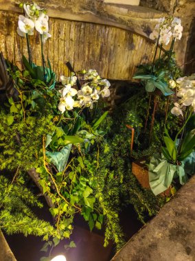 Festival de las Flores de Girona 