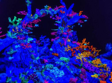 Festival de las Flores de Girona 