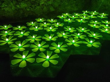 Festival de las Flores de Girona 