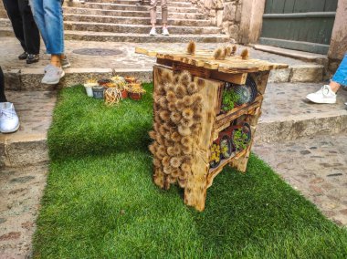 Festival de las Flores de Girona 