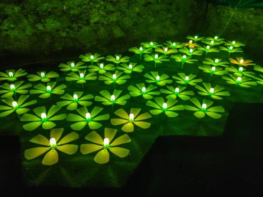 Festival de las Flores de Girona 