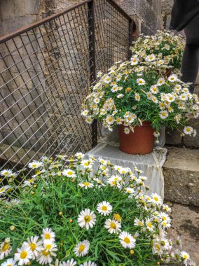 Festival de las Flores de Girona 