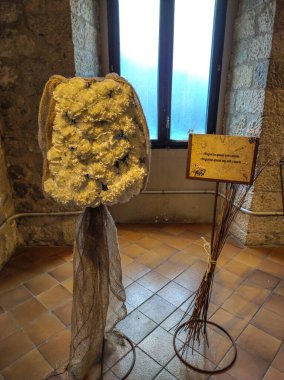 Festival de las Flores de Girona 